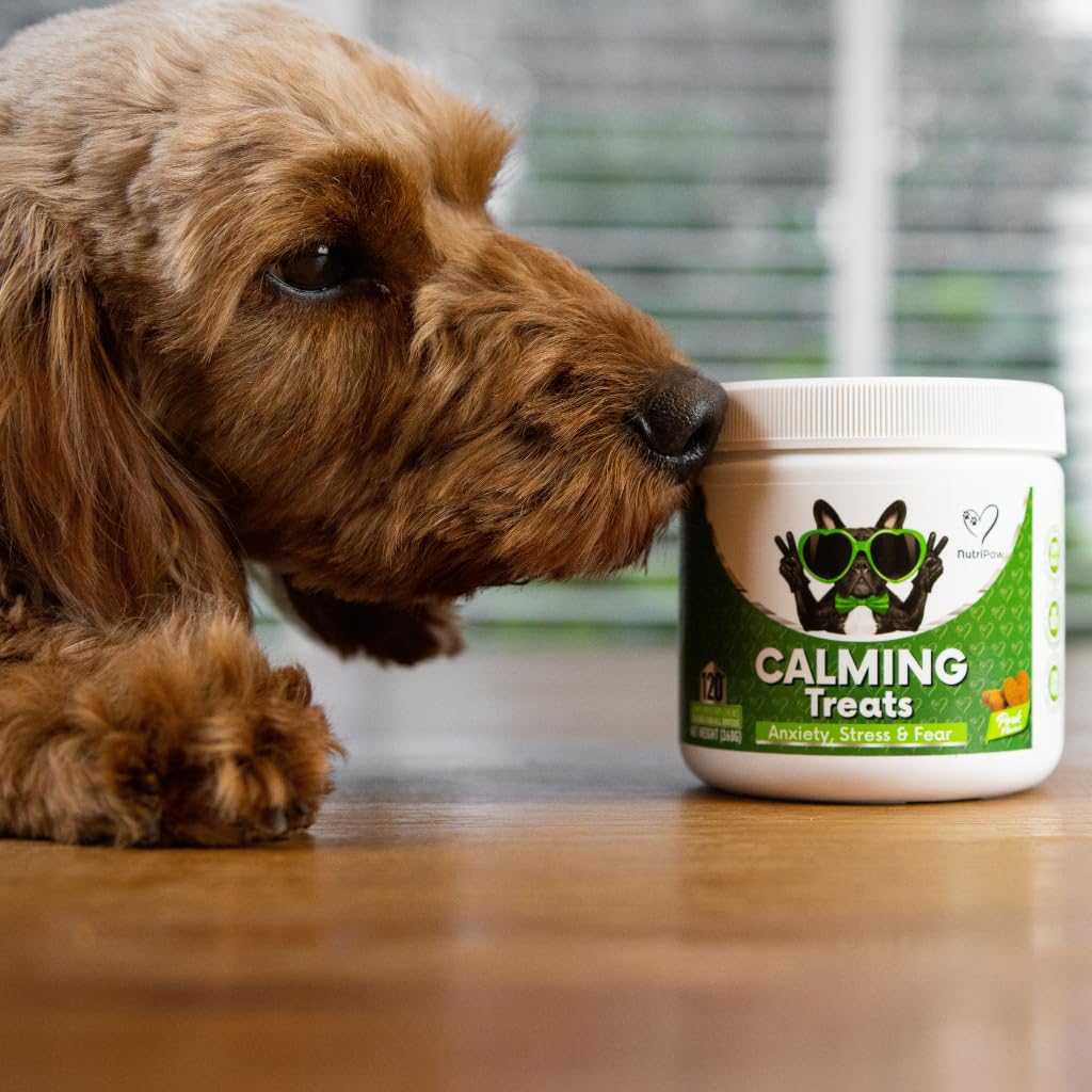 NutriPaw Calming Treats For Dogs - Reduce Stress, Fear, Separation, Barking, Hyperactivity, Reactivity, Aggression, Travel - Calm without Drowsiness dogs