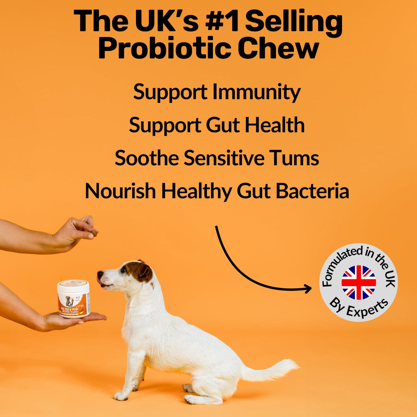NutriPaw Pre, Pro & Postbiotic Digestive Treats For Dogs - Gut Health, Sensitive Tums, Anal Glands, Scooting, Loose Stools, Smelly, Itchy Ears, Great for all dogs
