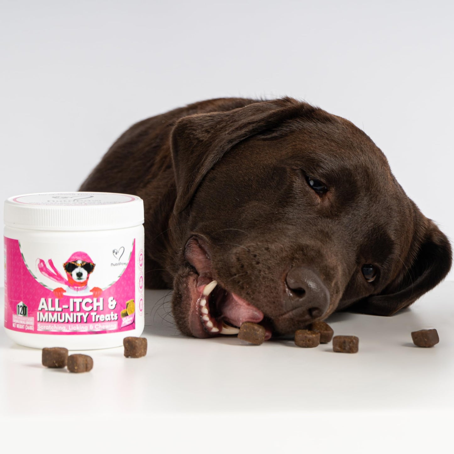 NutriPaw Calming Treats For Dogs - Reduce Stress, Fear, Separation, Barking, Hyperactivity, Reactivity, Aggression, Travel - Calm without Drowsiness dogs