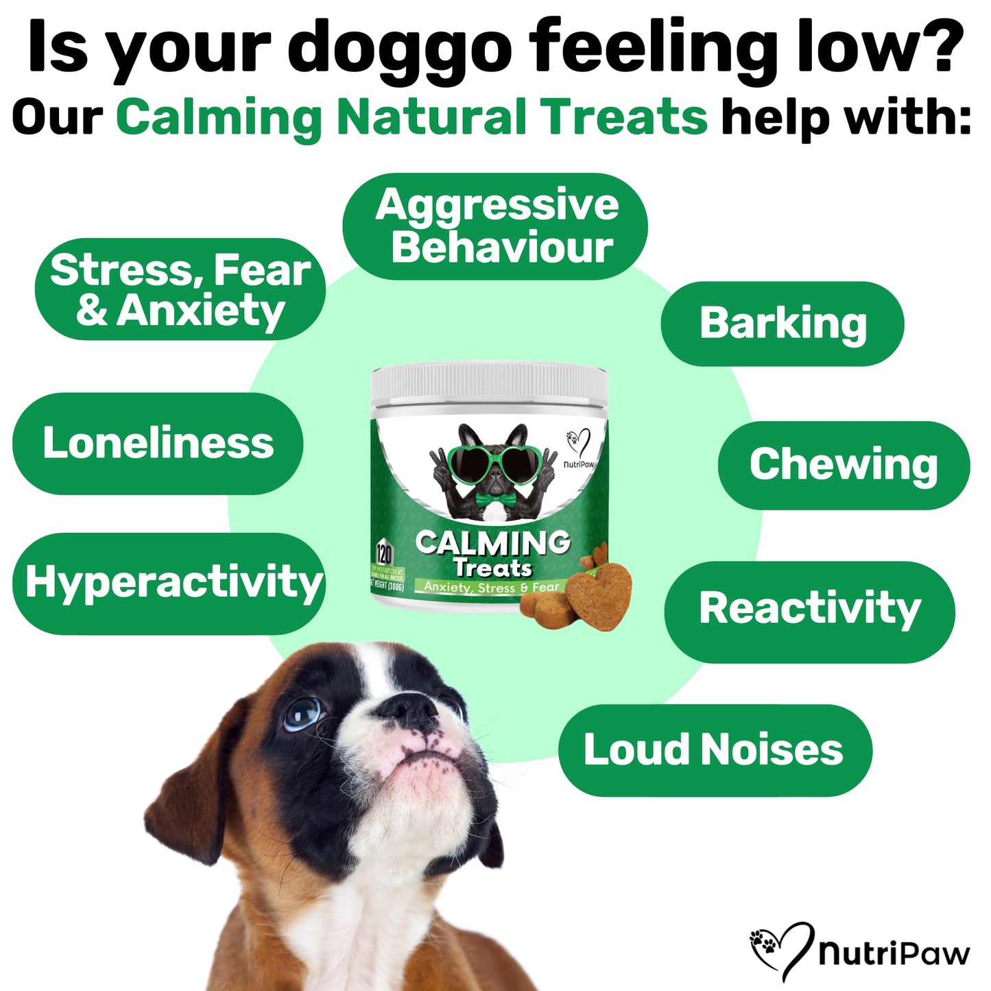 NutriPaw Calming Treats For Dogs - Reduce Stress, Fear, Separation, Barking, Hyperactivity, Reactivity, Aggression, Travel - Calm without Drowsiness dogs