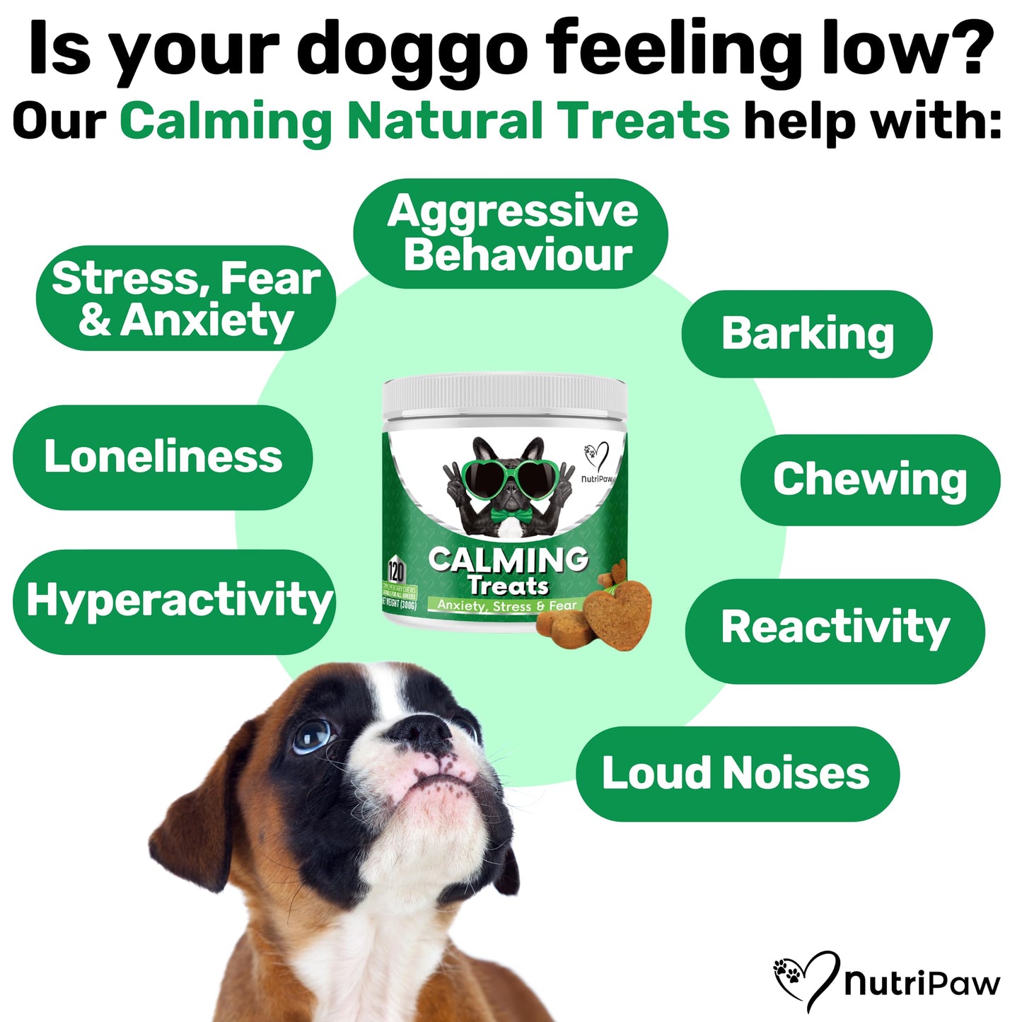 NutriPaw Calming Treats For Dogs - Reduce Stress, Fear, Separation, Barking, Hyperactivity, Reactivity, Aggression, Travel - Calm without Drowsiness dogs