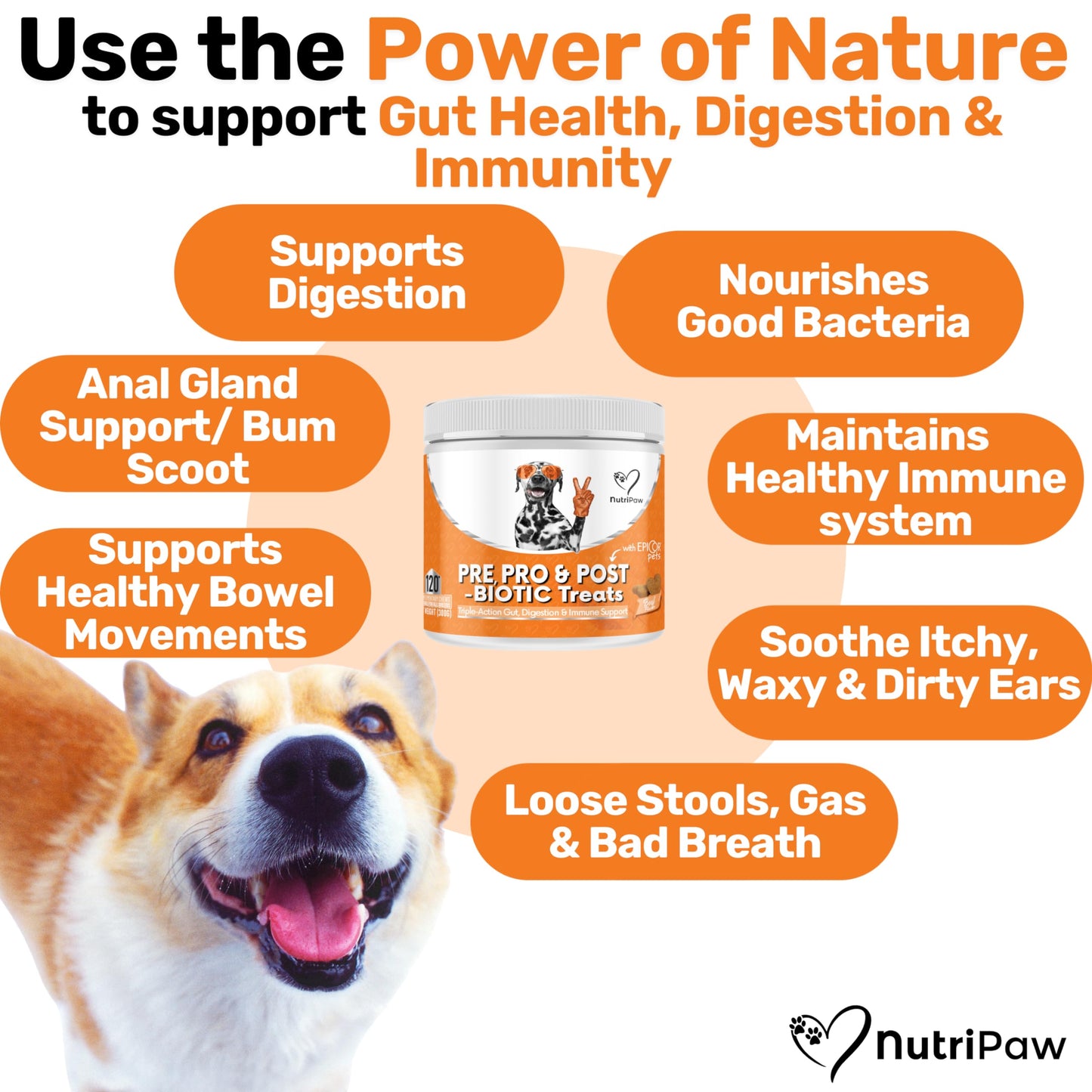 NutriPaw Pre, Pro & Postbiotic Digestive Treats For Dogs - Gut Health, Sensitive Tums, Anal Glands, Scooting, Loose Stools, Smelly, Itchy Ears, Great for all dogs