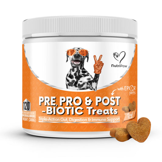 NutriPaw Digestive Treats For Dogs
