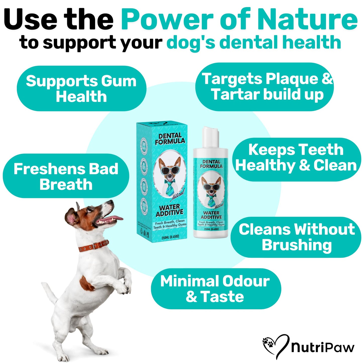 NutriPaw Pre, Pro & Postbiotic Digestive Treats For Dogs - Gut Health, Sensitive Tums, Anal Glands, Scooting, Loose Stools, Smelly, Itchy Ears, Great for all dogs