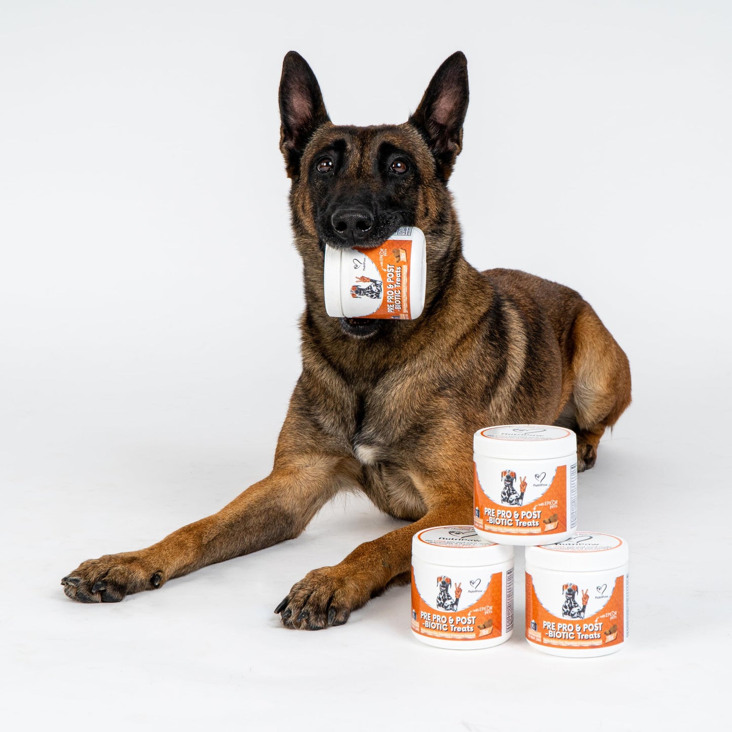 NutriPaw Pre, Pro & Postbiotic Digestive Treats For Dogs - Gut Health, Sensitive Tums, Anal Glands, Scooting, Loose Stools, Smelly, Itchy Ears, Great for all dogs